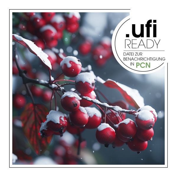 Winter Cranberry – Duftöl