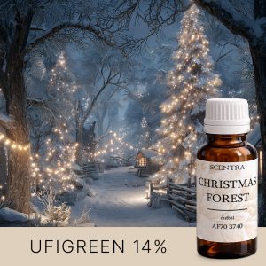 Winterwald mit Tannenbäumen und Lichtern.