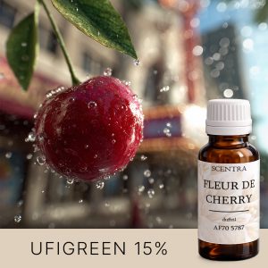 Saftige Süßkirsche mit Blättern und Wassertropfen