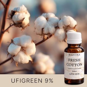 Baumwolle auf dem Feld im Tageslicht.