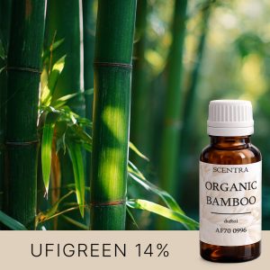 Grüne Bambussprossen im natürlichen Licht im Wald.