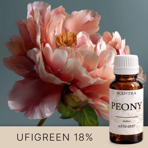 Strauß rosa Pfingstrosen in voller Blüte.