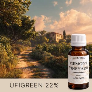 Weinberg bei Sonnenuntergang mit einem Steinhaus auf dem Hügel, ein Weg zwischen den Reihen der Weinreben, AF70 0670