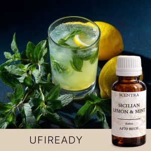 Ein Glas Limonade mit Minzblättern.