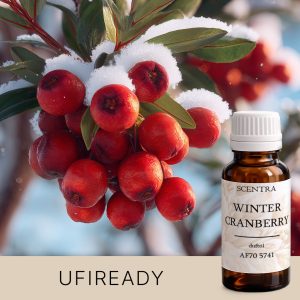 Zweig mit roten Beeren, bedeckt mit Schnee.