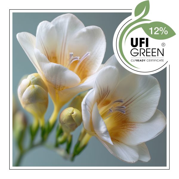 Fresh Tuberose – Duftöl – Bild 2