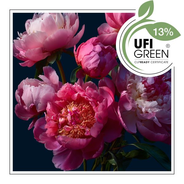 Peony Queen – Duftöl – Bild 2