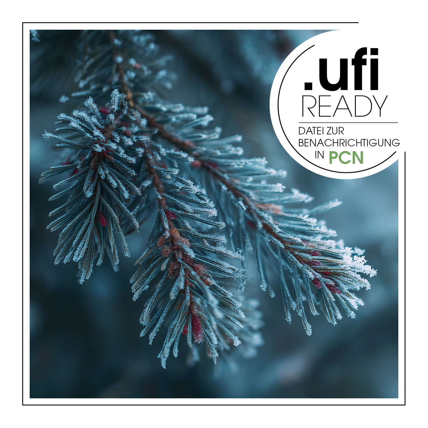 Frozen Spruce – Duftöl – Bild 2