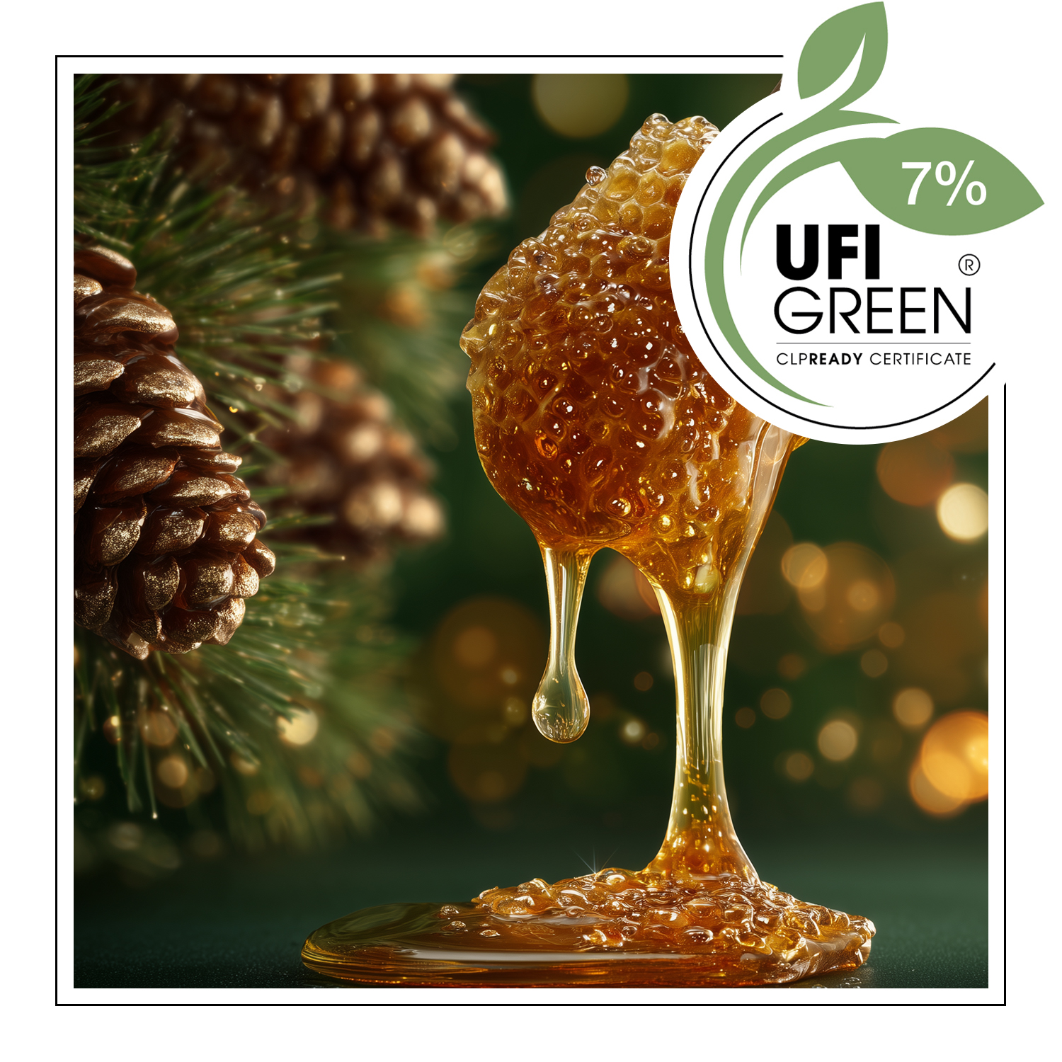 Pinecone & Honey – Duftöl – Bild 2