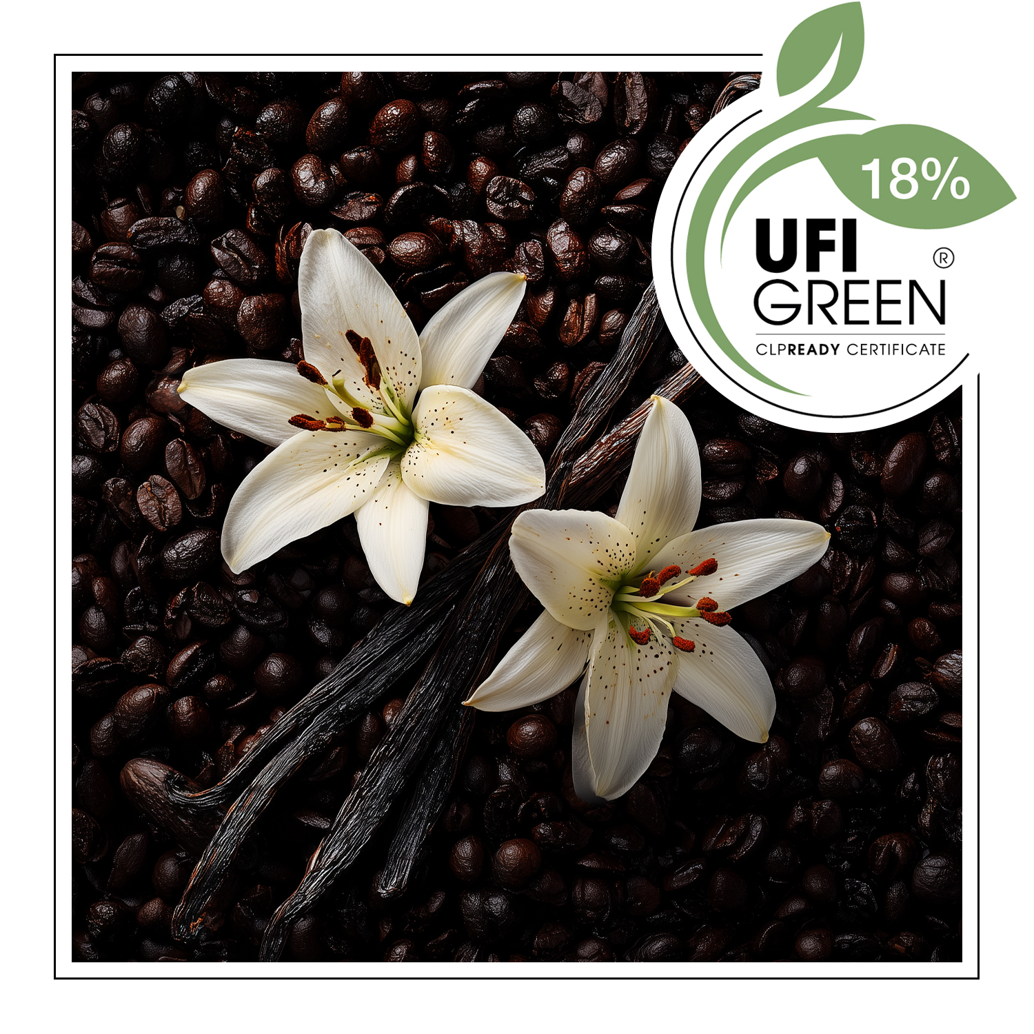 Vanilla & Coffee Beans – Duftöl – Bild 2