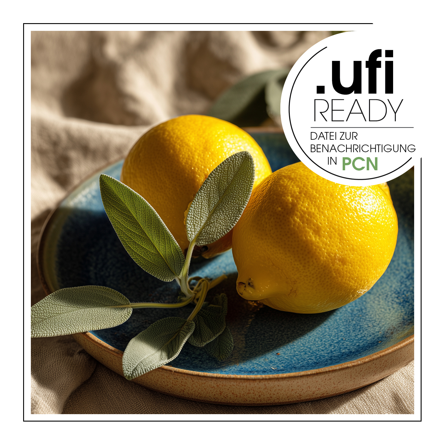 Lemonsage – Duftöl – Bild 2