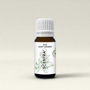 Blue Scent Lavender – Duftöl