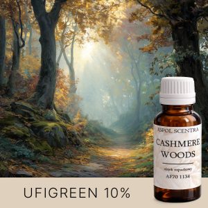 Goldener Weg im Wald, beleuchtet von der Herbstsonne.