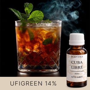 Ein Glas mit einem dunklen Getränk, Eis und Minze.