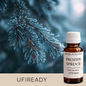 Verschneiter Fichtenzweig in winterlicher Nahaufnahme.