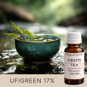 Grüne Schale mit Wasser und einem Blatt vor natürlichem Hintergrund AF70 9092