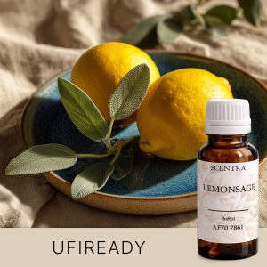 Zitronenschale auf einem Teller mit einem Blatt daneben.