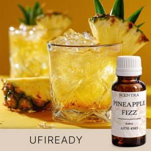 Ananasgetränk mit einer Ananasscheibe obenauf. AF70 4583