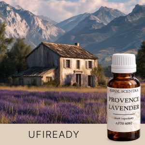 Lavendelfelder in der Provence, Frankreich, in voller Blüte, die eine malerische, violette Landschaft bilden.