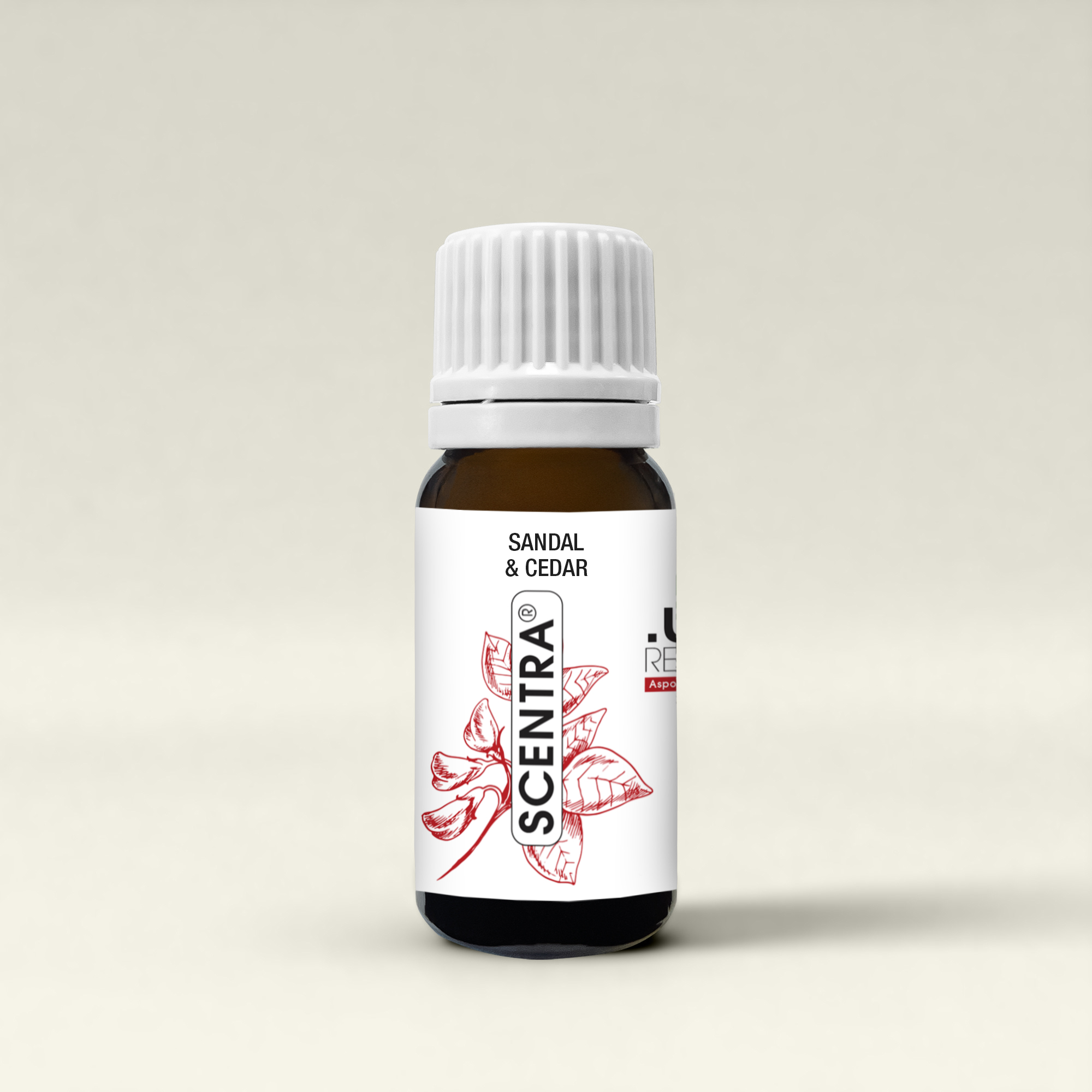 Sandal & Cedar – Duftöl