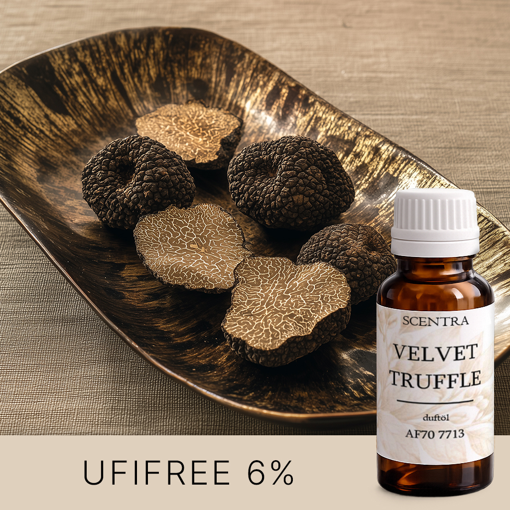 Schwarze Trüffel auf einem dekorativen Teller.